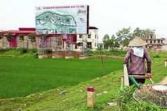 Ảnh minh họa. (Nguồn: Internet)