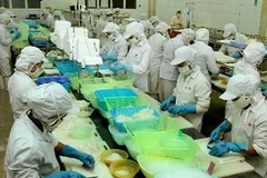 Ảnh minh họa. (Nguồn: TTXVN)