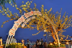 Đường Hoa Xuân Bạch Đằng.