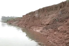 Ảnh minh họa. (Nguồn: Internet)