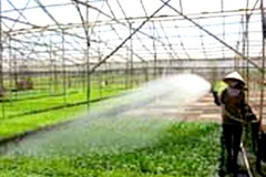 Ảnh minh họa. (Nguồn: Internet)