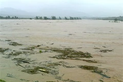 Ảnh minh họa. (Nguồn: vov.vn)