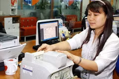 Giao dịch mua bán ngoại tệ tại Hội sở Ngân hàng Quốc tế. (Ảnh: Trần Việt/TTXVN)