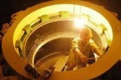 Ảnh minh họa. (Nguồn: Internet)