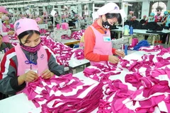 Sản xuất hàng may mặc xuất khẩu tại Công ty Seshin 100% vốn Hàn Quốc, tỉnh Phú Thọ. (Ảnh: Hồng Kỳ/TTXVN)