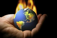 Ảnh chỉ mang tính minh họa. (Nguồn: Internet)