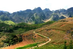 Một góc Cao nguyên đá Đồng Văn. (Nguồn: TTXVN)