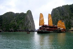 Ảnh chỉ mang tính minh họa. (Nguồn: Internet)