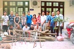 Nhóm đối tượng cưa trộm cây sưa bị bắt. (Ảnh: nguồn Internet)