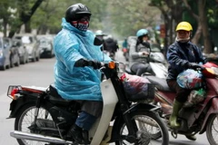 Ảnh minh họa. (Ảnh: Nhật Anh/TTXVN)