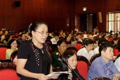 Đại biểu Quốc hội (đoàn Thái Nguyên) Trương Thị Huệ phát biểu ý kiến. (Ảnh: An Đăng/TTXVN)