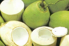 Ảnh minh họa. (Nguồn: Internet)