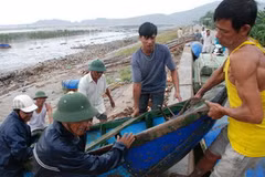 Khẩn trương đưa phương tiện lên bờ an toàn phòng chống bão vào bờ. (Ảnh minh họa; Trọng Đạt/TTXVN)