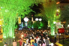 Đường hoa Nguyễn Huệ tấp nập người đi chơi Xuân Kỷ Sửu 2010. (Ảnh: Quang Nhựt/TTXVN)