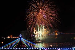 Thi bắn pháo hoa quốc tế 2010 tại Đà Nẵng. (Ảnh: Thanh Hà/TTXVN)