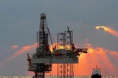 Ảnh minh họa. (Nguồn: Internet)