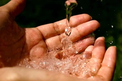 Ảnh chỉ mang tính minh họa. (Nguồn: Internet)