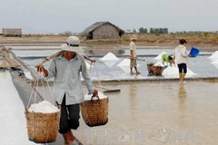 Ảnh minh họa. (Nguồn: TTXVN)