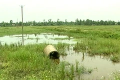 105ha đất nông nghiệp bị Công ty Sơn Trường phá nát, bỏ hoang. (Ảnh: Văn Đức/Vietnam+)