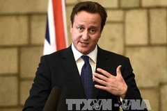 Thủ tướng Anh David Cameron. (Nguồn: AFP/TTXVN)