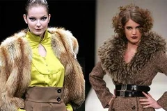 Ảnh chỉ mang tính minh họa. (Nguồn: Internet)