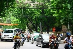 Ảnh minh họa. (Nguồn: automatic.vn)