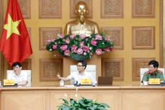 Phó Thủ tướng Vũ Đức Đam phát biểu tại cuộc họp. (Ảnh: Dương Giang/TTXVN)