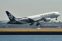 Máy bay của hãng hàng không quốc gia Air New Zealand cất cánh từ sân bay ở Sydney, Australia ngày 23/8/2017. (Ảnh: AFP/TTXVN)
