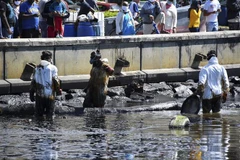 Công nhân thu gom dầu tràn tại vùng biển Đông Nam Mauritius ngày 8/8/2020. (Ảnh: THX/TTXVN)