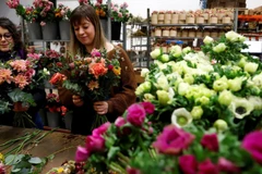 (Nguồn: lirelactu.fr)