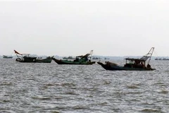 Tàu cá Việt Nam. (Ảnh minh họa: Lê Huy Hải/TTXVN)