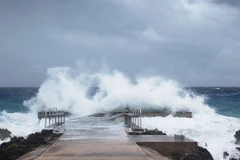 (Nguồn: quizfeed.co.uk)