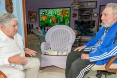 Lãnh tụ Cuba Fidel Castro (phải) tiếp cựu Tổng thống Uruguay José Mujica. (Nguồn: Reuters)
