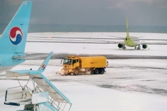 Tuyết phủ trắng sân bay Jeju, Hàn Quốc. (Nguồn: AFP/TTXVN)