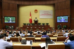 Phó Chủ tịch Quốc hội Nguyễn Đức Hải phát biểu. (Ảnh: Doãn Tấn/TTXVN)