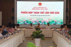 Quang cảnh phiên họp. (Ảnh: Ngọc Thiện/TTXVN)