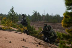 Ảnh minh họa. (Nguồn: U.S. Army)