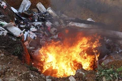 Tiêu hủy các sản phẩm hàng hóa vi phạm hành chính trị giá hơn 420 triệu đồng. (Ảnh minh họa: Đức Thọ/TTXVN)