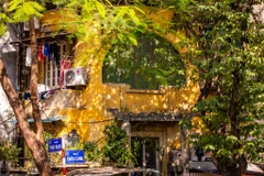 Ghé thăm Hà Nội những ngày đầu Đông, du khách không khỏi bất ngờ khi ngắm nhìn một hình ảnh Thủ đô rất khác. (Ảnh: Minh Sơn/Vietnam+)