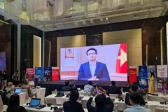 Phó Thủ tưởng Vũ Đức Đam phát biểu tại sự kiện. (Ảnh: PV/Vietnam+)