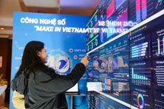 Ảnh minh họa. (Ảnh: Minh Sơn/Vietnam+)