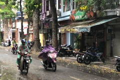 Hà Nội có mưa vào sáng đêm, nhiệt độ thấp nhất từ 16-19 độ C. (Ảnh: TTXVN/Vietnam+)