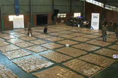 Ảnh minh hoa. (Nguồn: Télam)