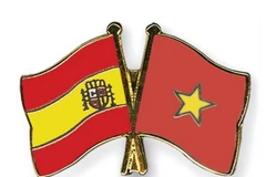 Ảnh minh họa. (Nguồn: crossed-flag-pins.com)