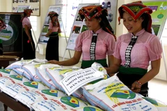 Sản phẩm hạt giống lúa, gạo năng suất, chất lượng cao. (Ảnh: Đình Huệ/TTXVN)