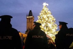 Cây thông Giáng Sinh số một ở Prague.(Nguồn: Novinky.cz)