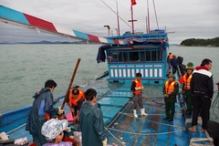 (Ảnh minh họa: Nguyễn Hoàng/TTXVN)