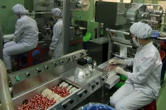 Sản xuất dược phẩm tại nhà máy của Công ty Cổ phần Dược - Trang thiết bị Y tế Bình Định. (Ảnh: Vũ Sinh/TTXVN)