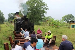 Sắp mở tour du lịch bằng tàu hỏa từ TP.HCM tới bốn tỉnh thành