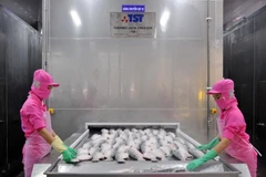 Dây chuyền cấp đông cá tra xuất khẩu tại Công ty Hùng Cá, thành phố Cao Lãnh, tỉnh Đồng Tháp. (Ảnh: An Hiếu/TTXVN)